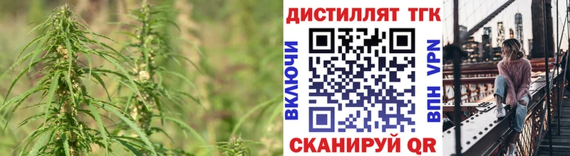 Купить закладки  Сланцы  Дистиллят ТГК THC oil 